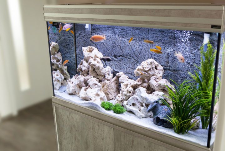 A fishbowl may be fine for a non-serious aquarist, but if you're serious about fishkeeping, you need a proper tank. Learn about standard aquarium sizes here.