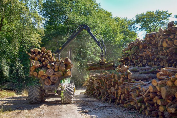 Are you interested in forestry equipment for your business? Here are the most common types of forestry equipment you may want to consider.