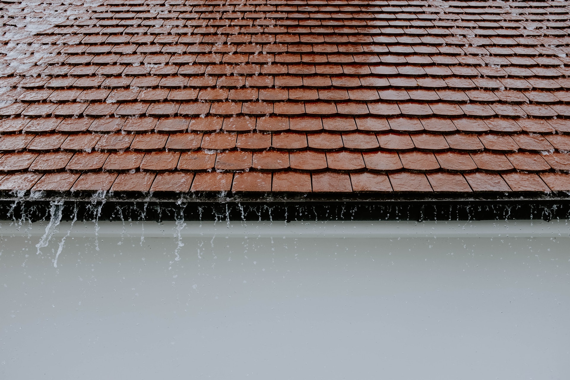 wet roof